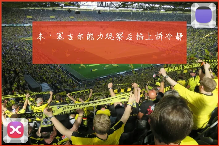 本·塞吉尔能力观察后插上拼冷静