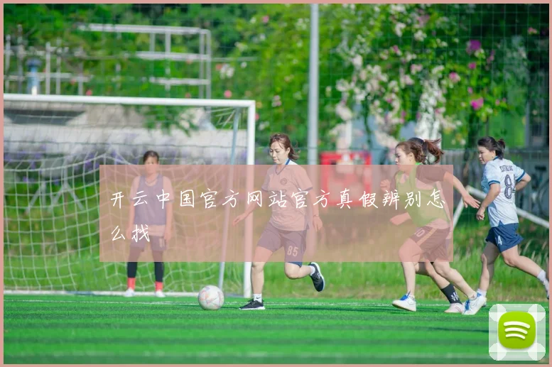 开云中国官方网站官方真假辨别怎么找
