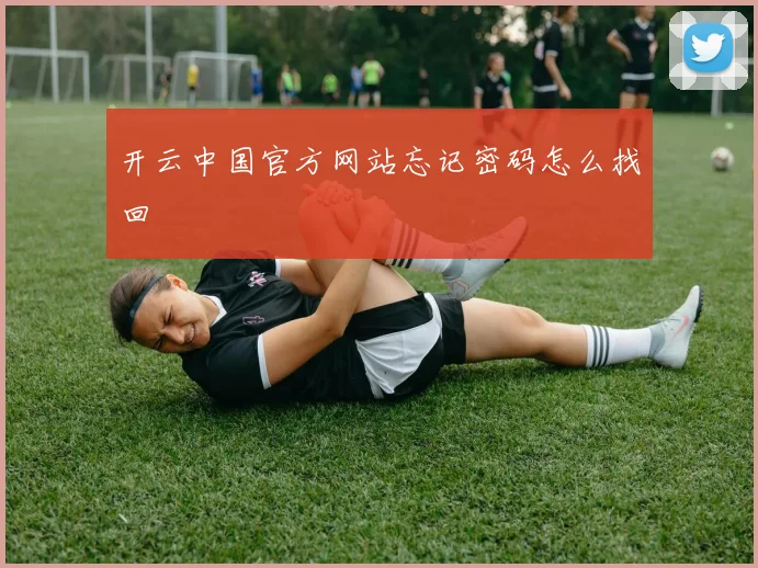 开云中国官方网站忘记密码怎么找回